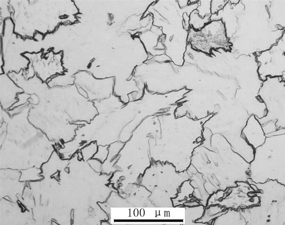 TA2 pure titanium color metallographic corrosion method convenient to identify