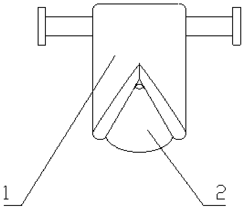 Garlic conveying device and sowing machine