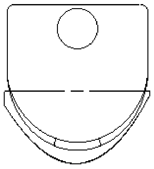 Garlic conveying device and sowing machine