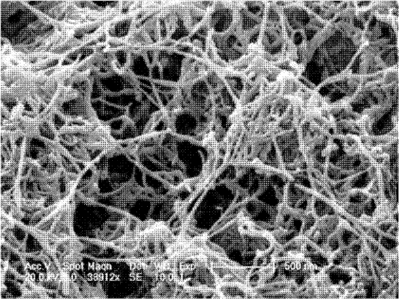 Preparation method of polyaniline nanofibers