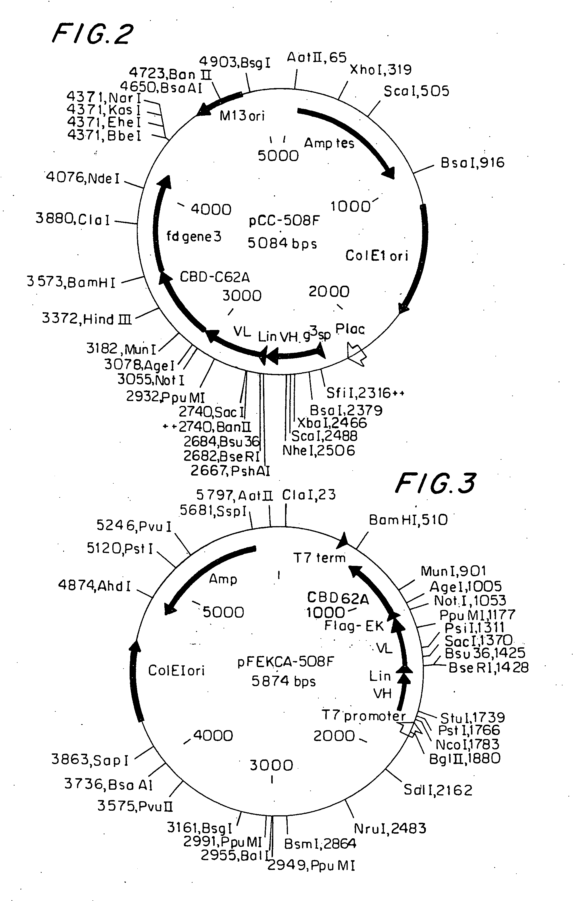 Agents and compositions and methods utilizing same useful in diagnosing and/or treating or preventing plaque forming diseases