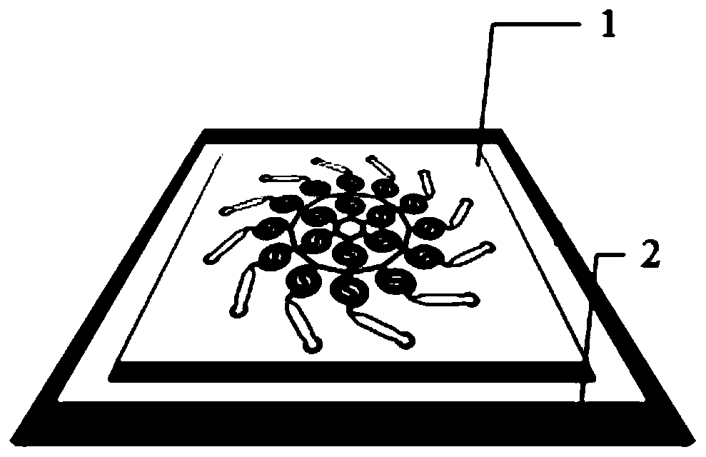 Integrated microfluidic chip for drug screening and application thereof