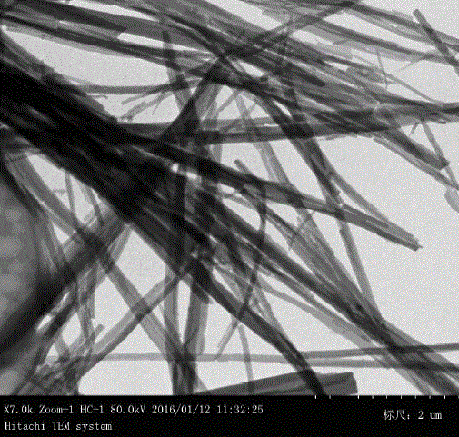 Preparation method of polybutylcyanoacrylate nanowire