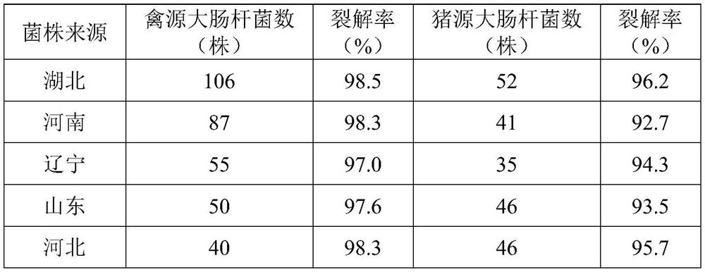 Broad-spectrum phage for rapidly cracking livestock and poultry escherichia coli and application