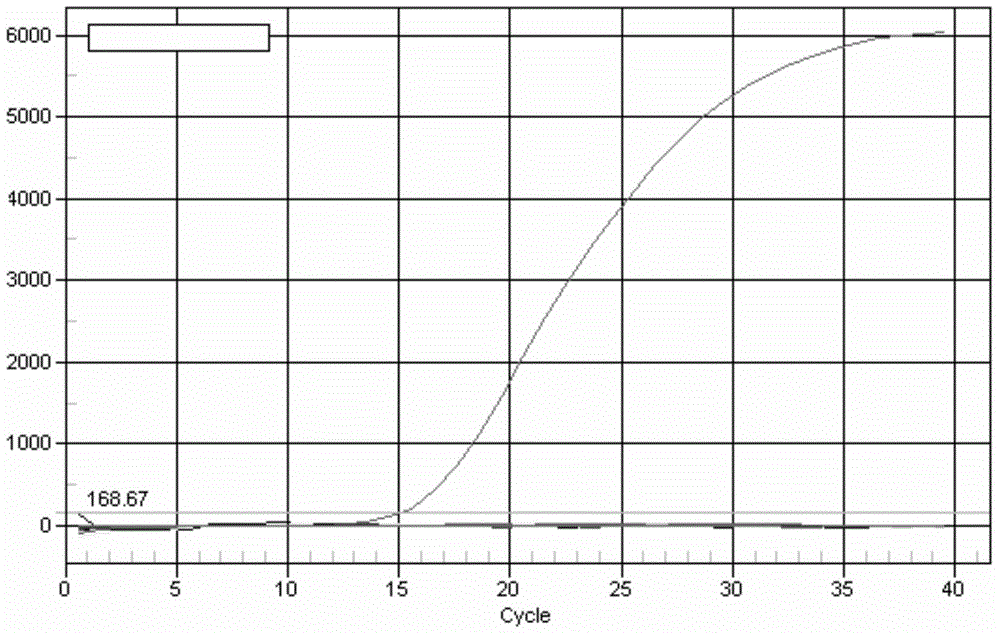 Kit for detecting ostrich-derived component in food and application of kit