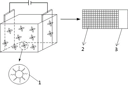 Quantum dot solid film and preparation method thereof