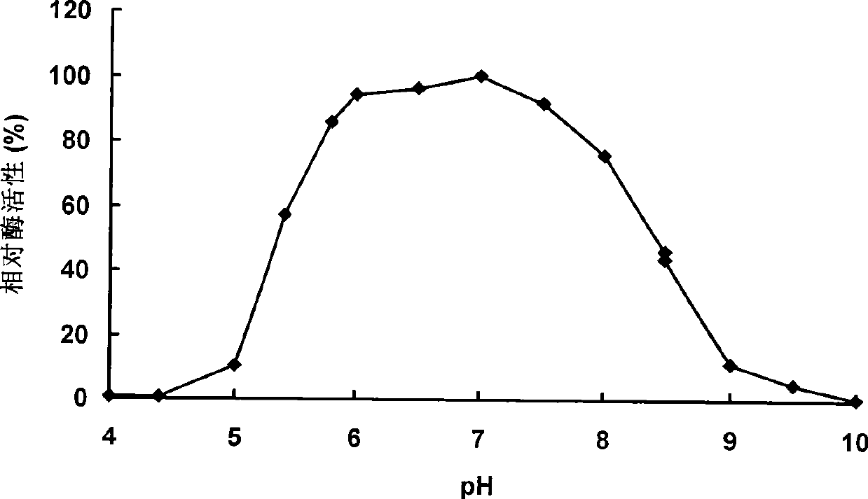 Neutral phytase PHYMJ11 and gene and application thereof