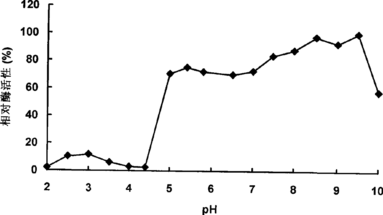 Neutral phytase PHYMJ11 and gene and application thereof