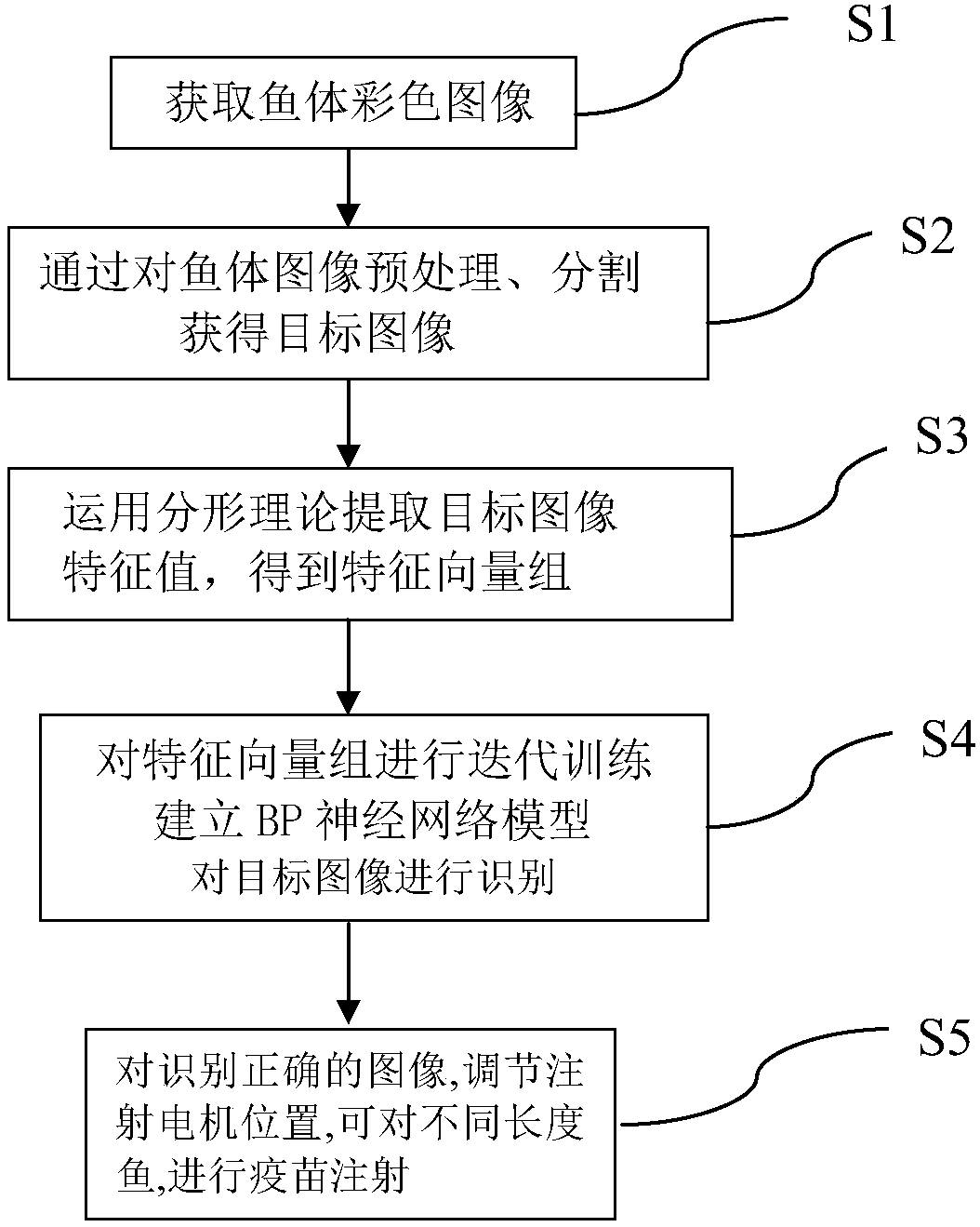 Fish identification and vaccine injection method based on fractal theory and BP (Back Propagation) algorithm