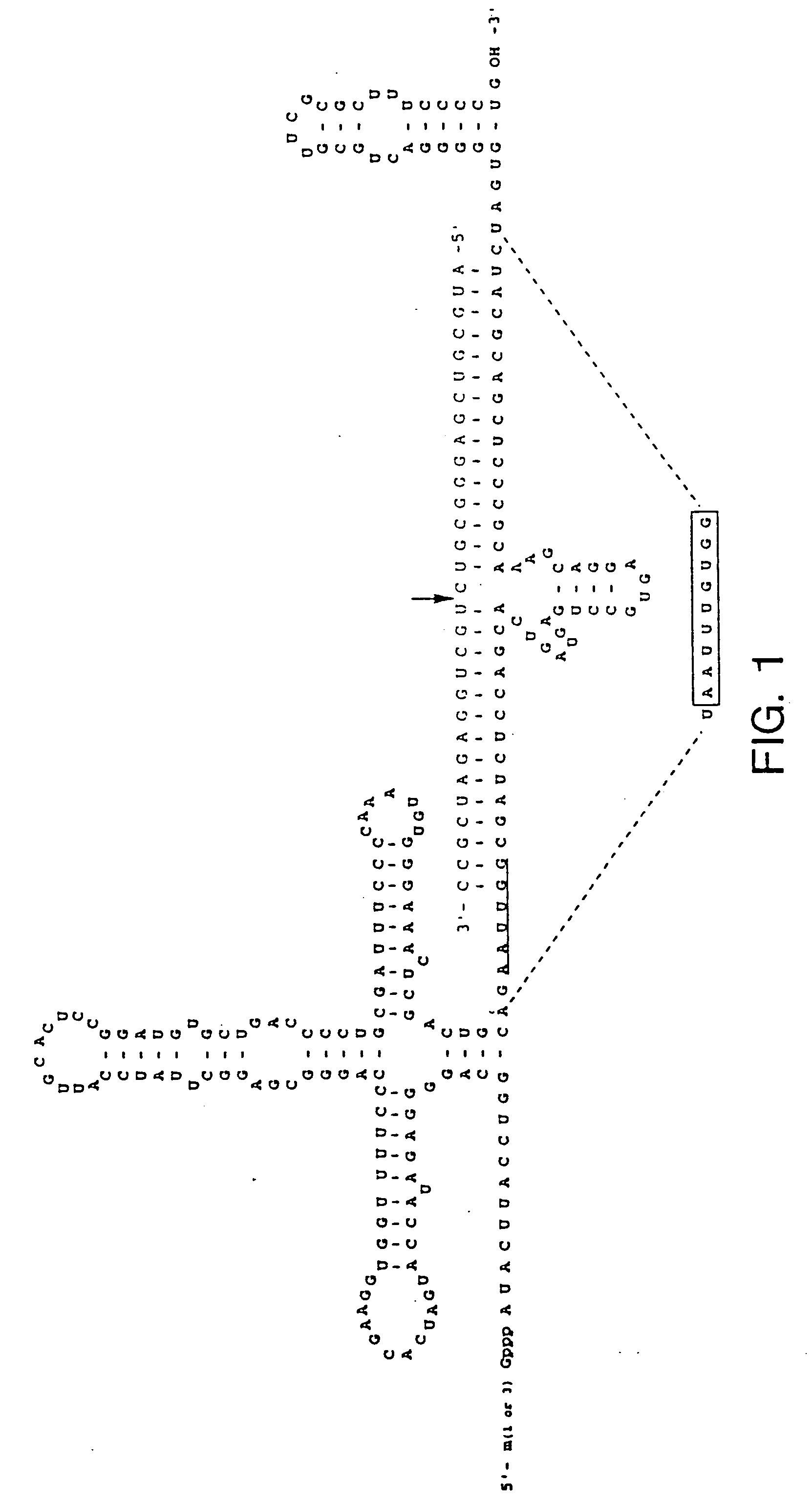 Delivery construct for antisense nucleic acids and methods of use