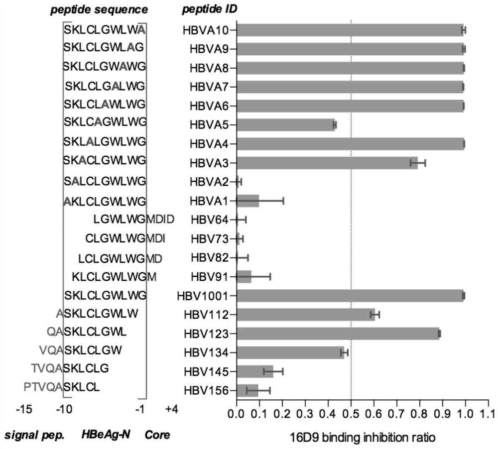 Monoclonal antibody for resisting hepatitis B virus e antigen and application thereof