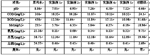 Microbial agent suitable for treating urban wastewater and preparation method thereof