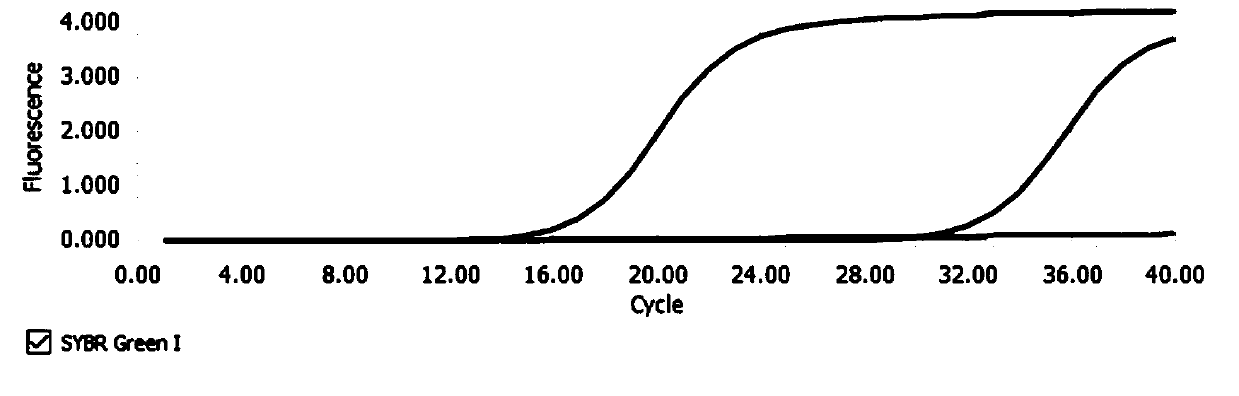 Reagent kit capable of simultaneously detecting virulent viruses and bacteria and detecting method