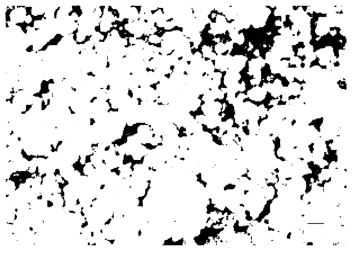 Inorganic thermal insulation material and preparation method thereof