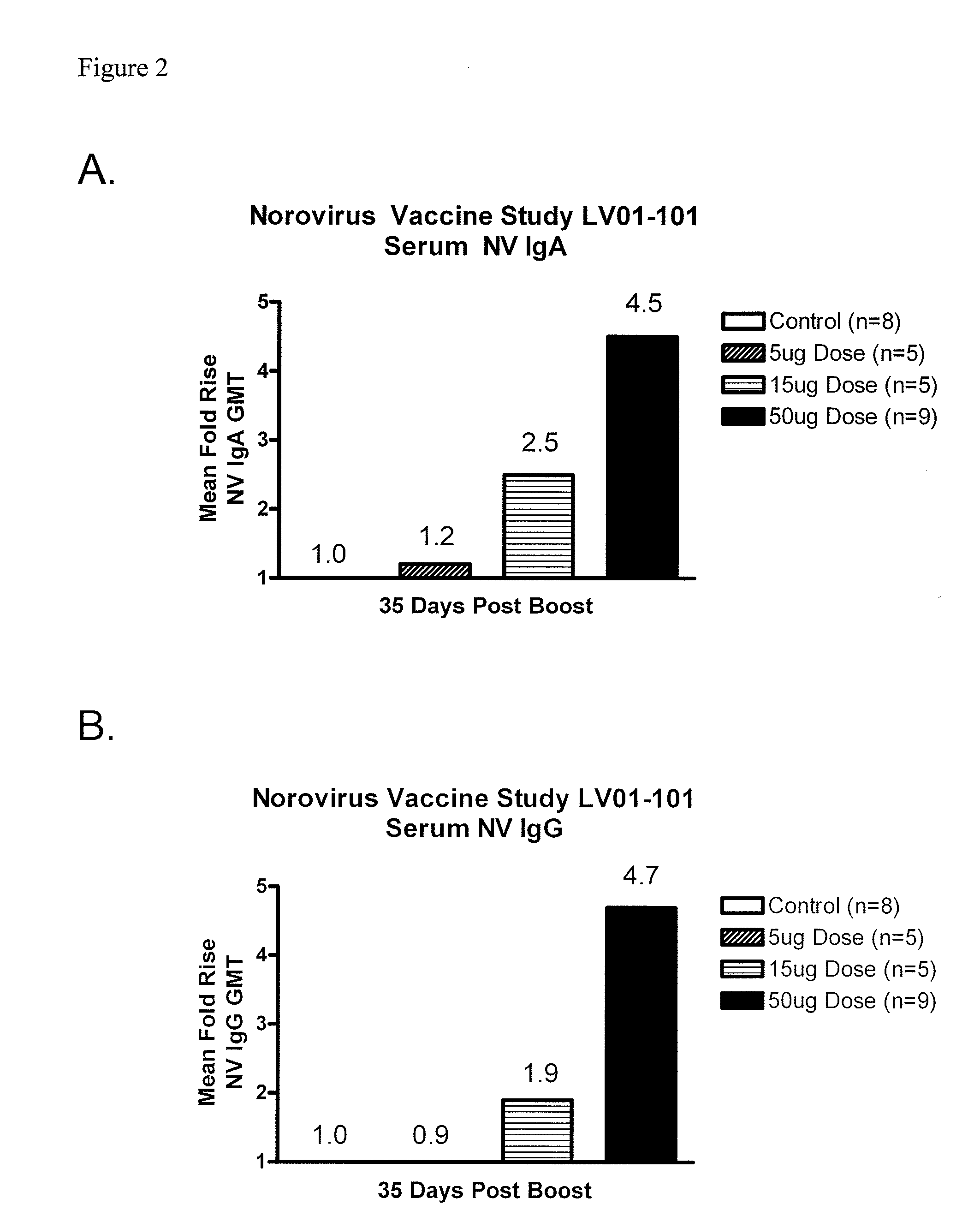 Method of conferring a protective immune response to norovirus