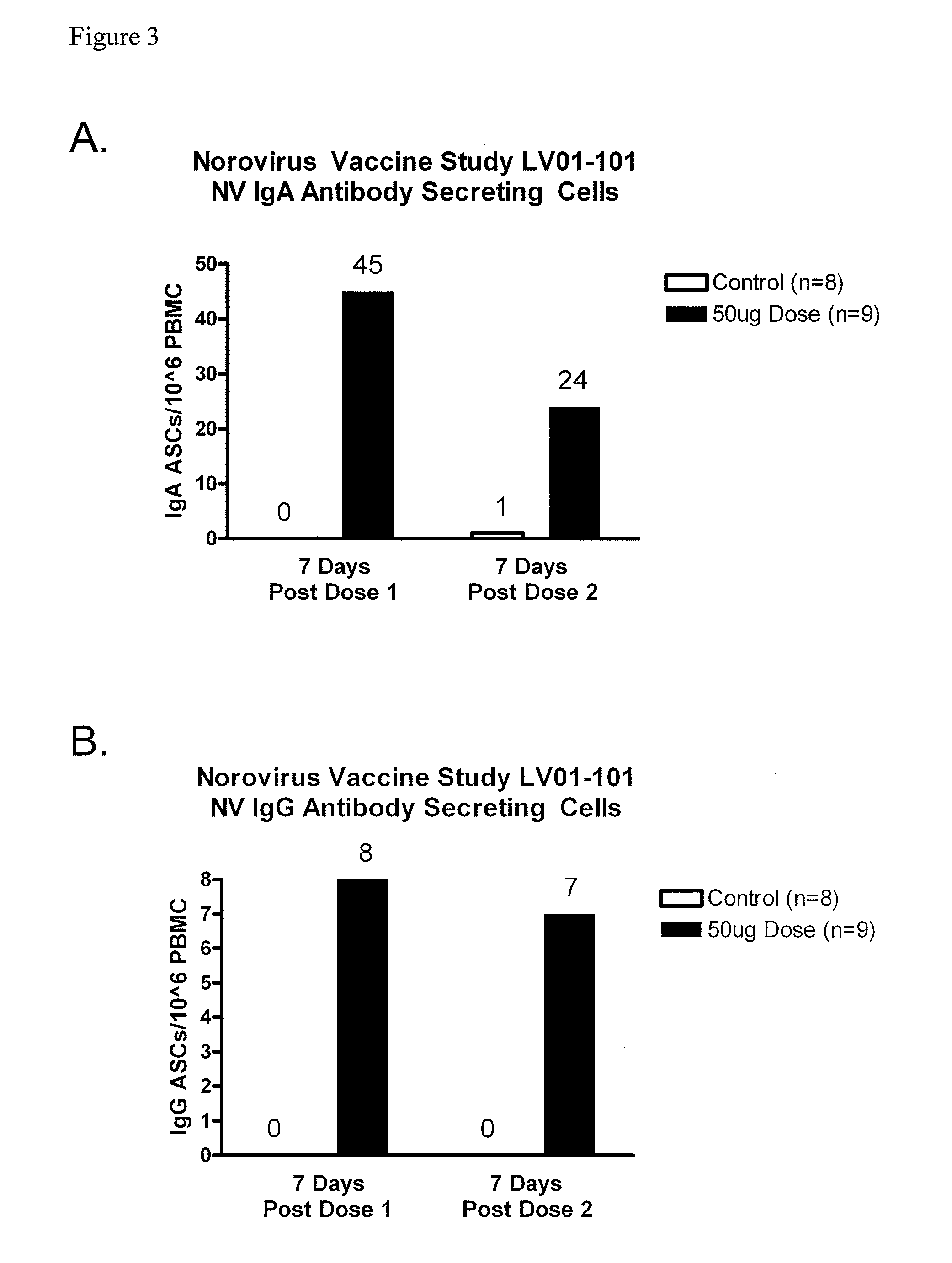 Method of conferring a protective immune response to norovirus