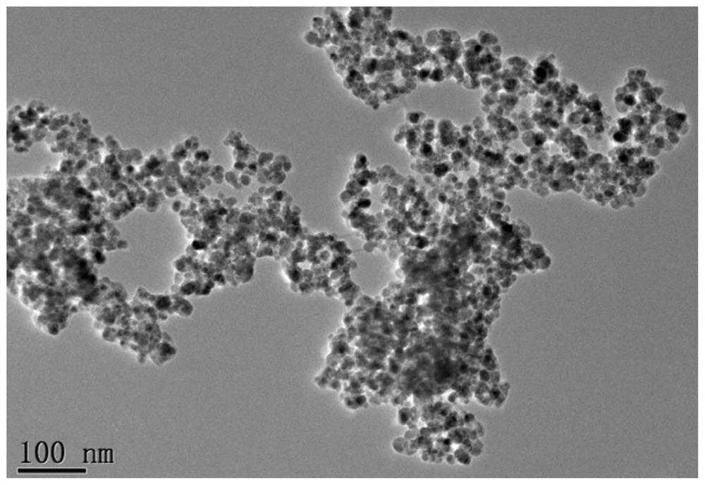 Surface zwitterionic polymer modified magnetic microsphere as well as preparation method and application of magnetic microsphere