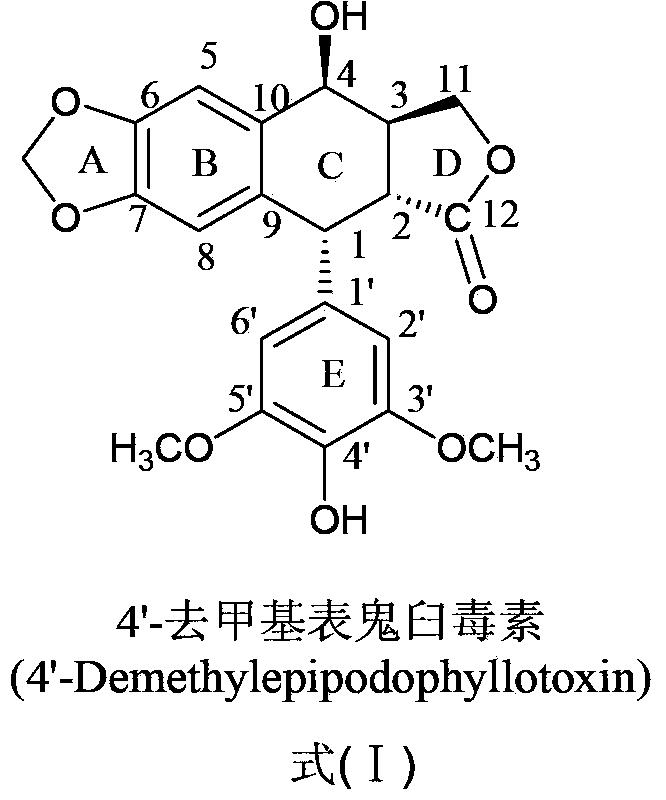 Acidamide substitution podophyllum derivative with antineoplastic activity and preparation method and application thereof