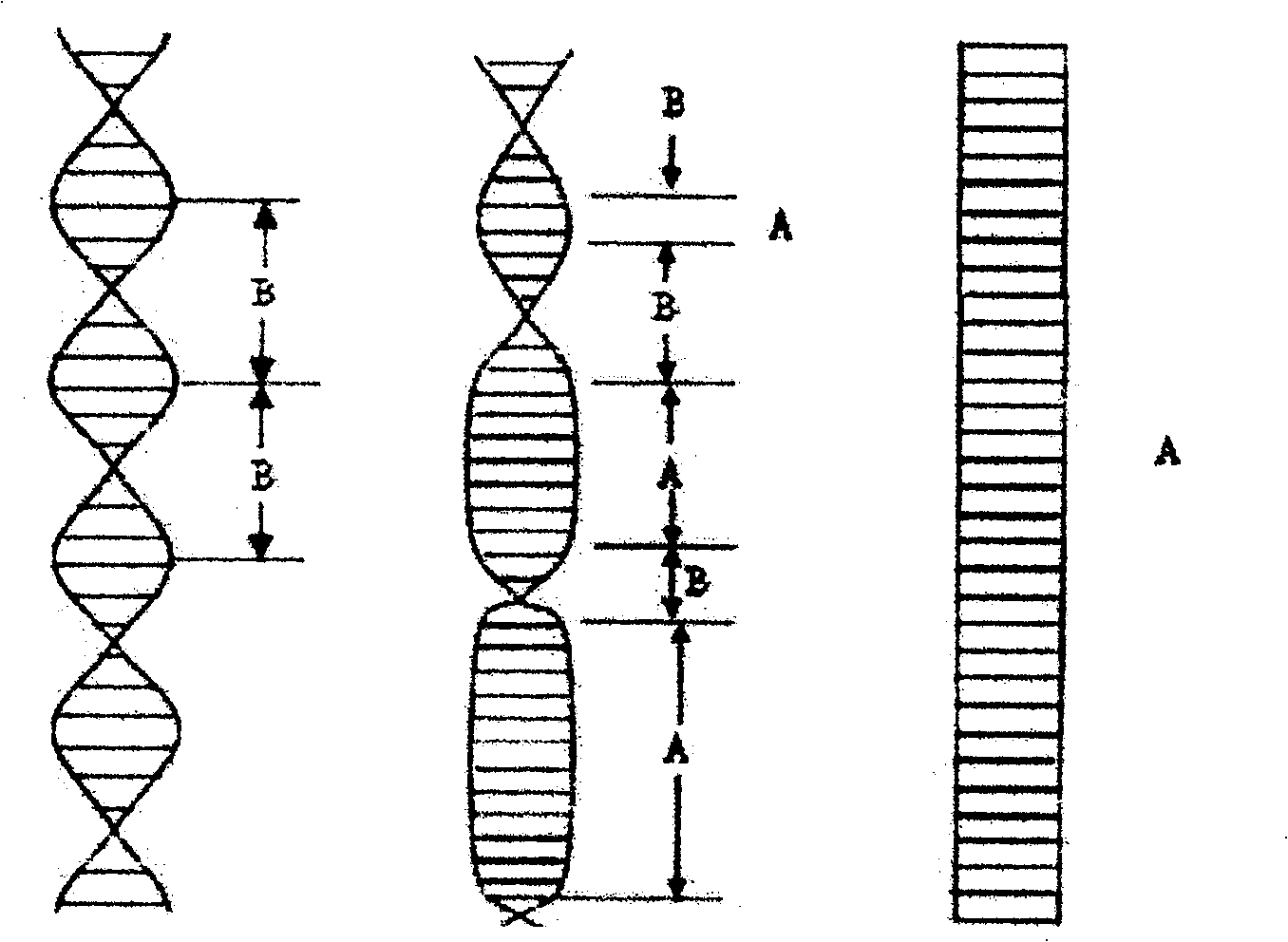 Liquid crystal display using planar cholesteric liquid crystal as electric control delay wafer