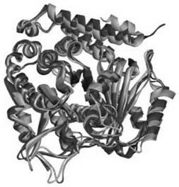 Protein fusion design method for fusing two proteins based on alpha helix and maintaining activity of respective subunits