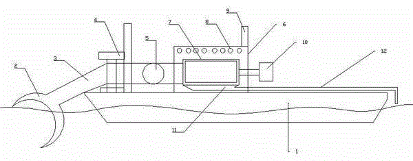 Water bloom salvage treatment device