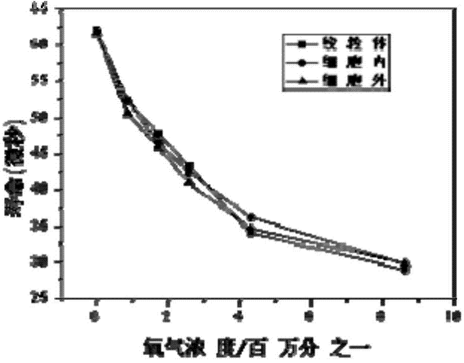 Fluorescent oxygen nano sensor with cellular mitochondrion targeting, and preparation method of nano sensor