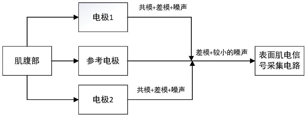 Fatigue monitoring system and method fusing myoelectricity and electrocardiosignals