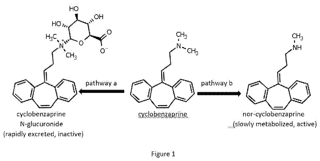 Analogs of cyclobenzaprine and amitryptilene