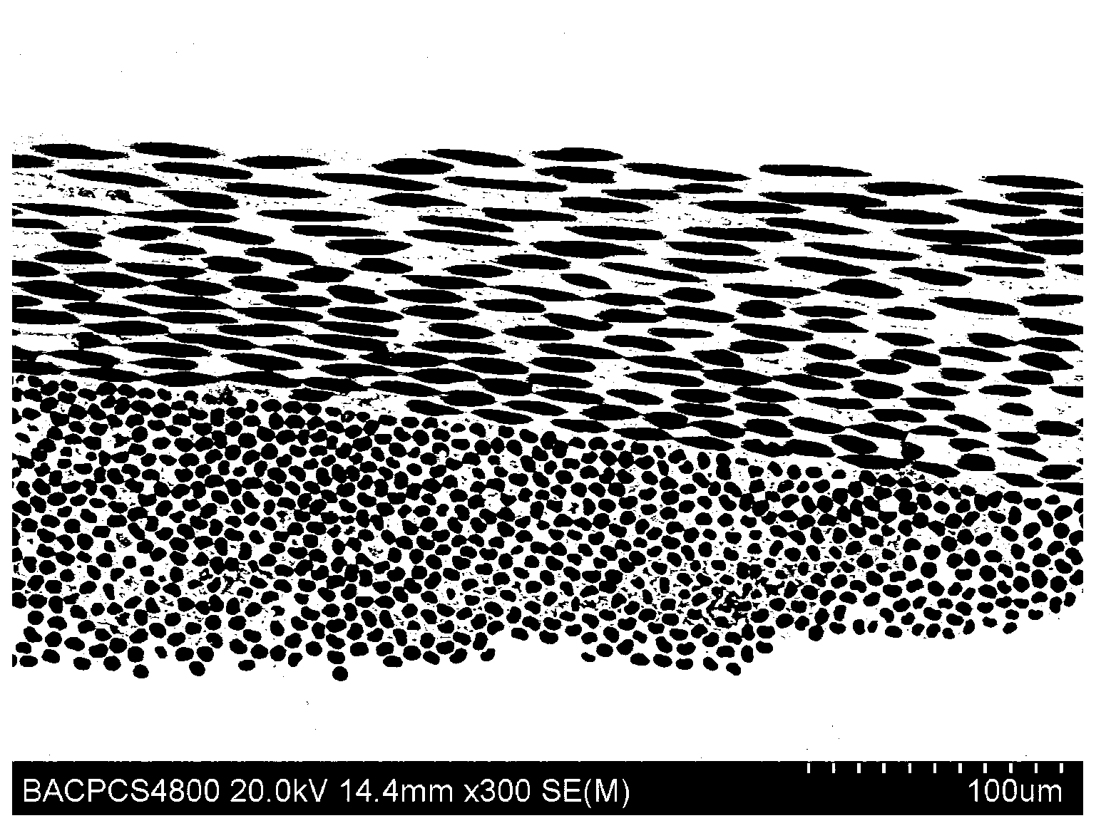 Carbon fiber cloth-titanium alloy composite material and preparation method thereof