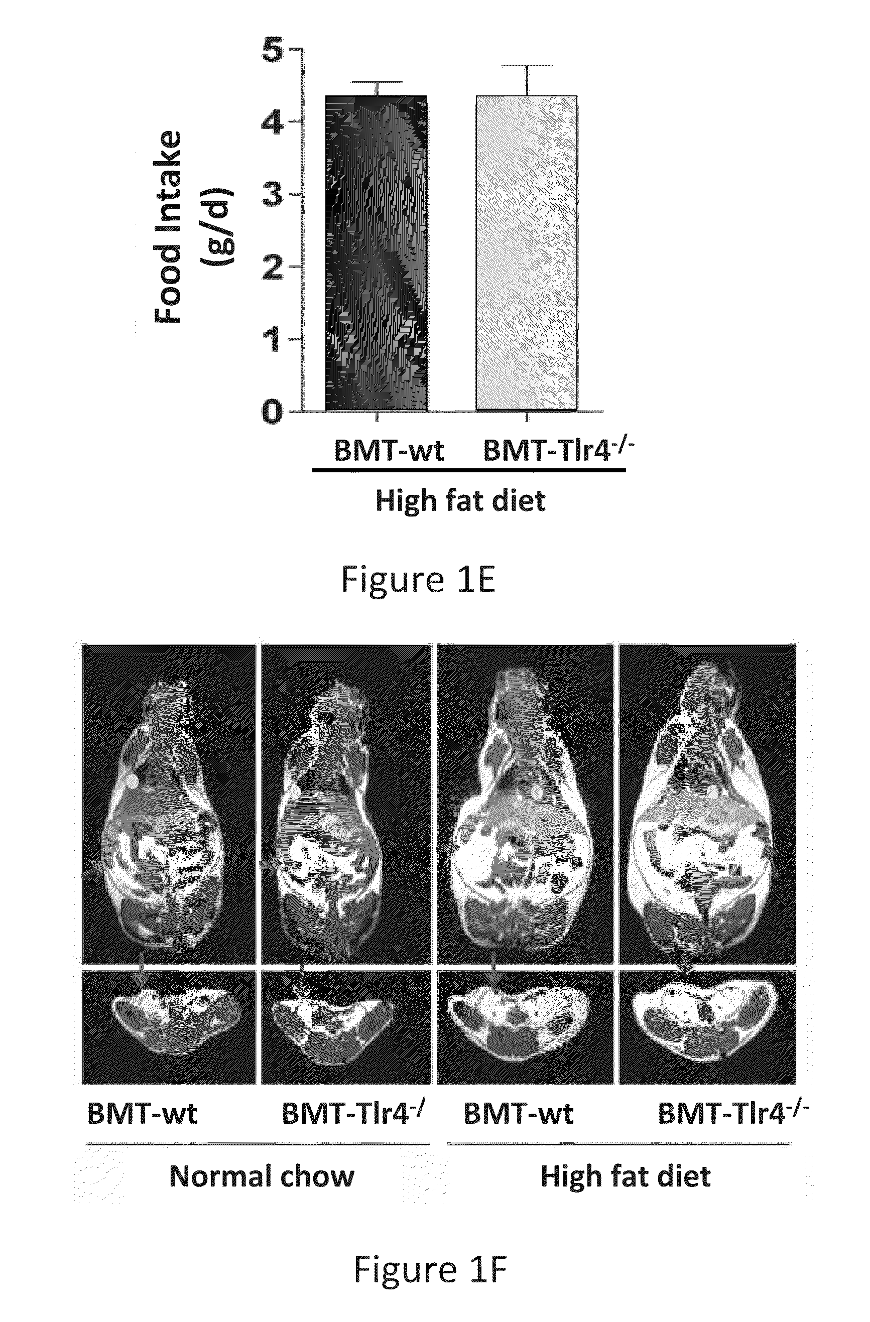 Methods and Compositions for Ameliorating Diabetes and Symptoms Thereof