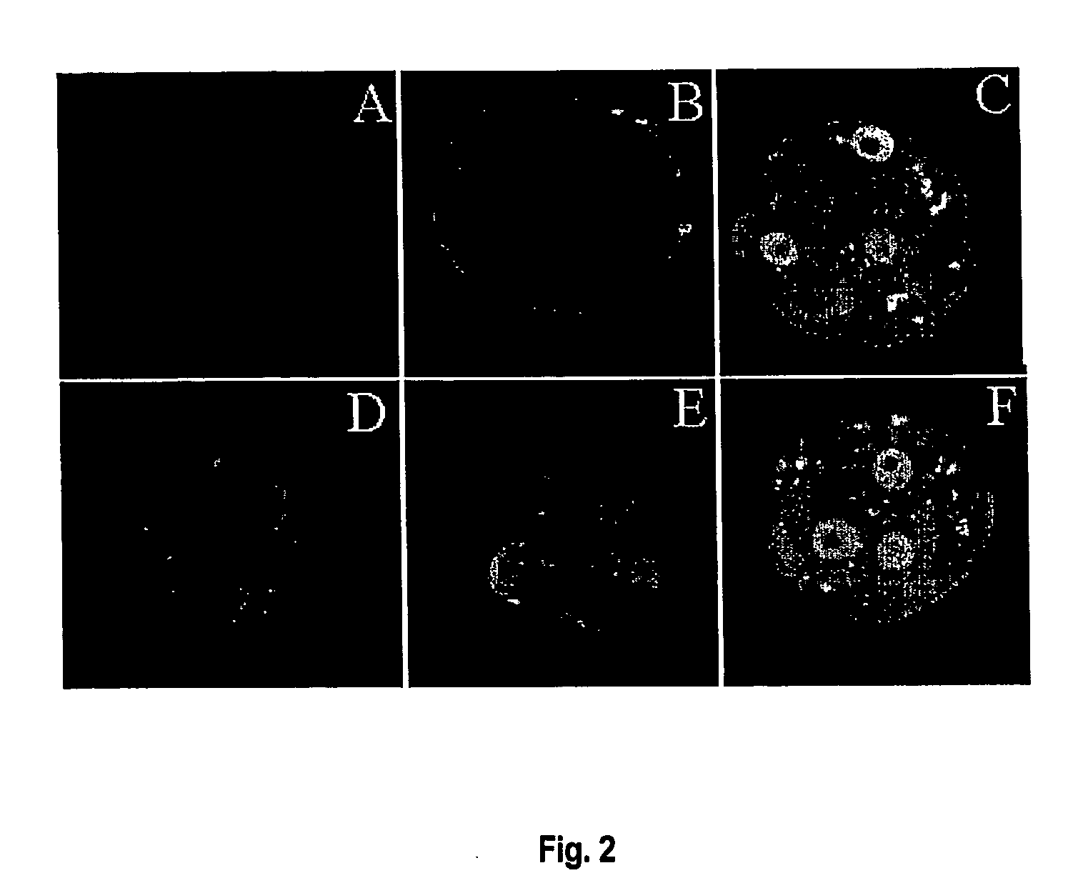 Methods for enhancing embryo viability