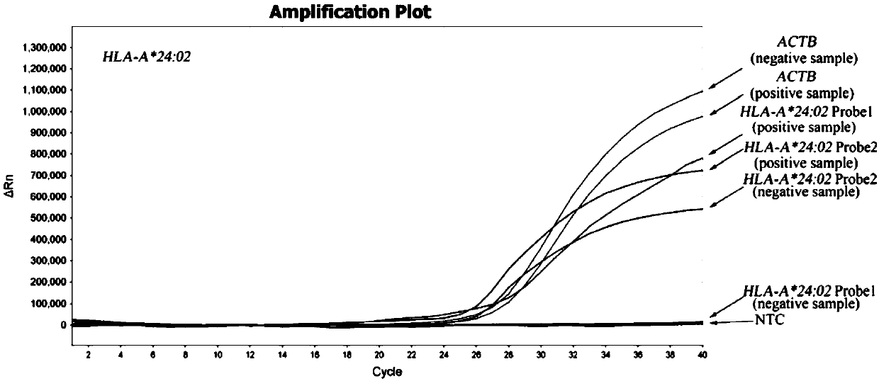 Specific primer probe combination for detecting HLA-A*24:02 allelic genes and kit and detection method