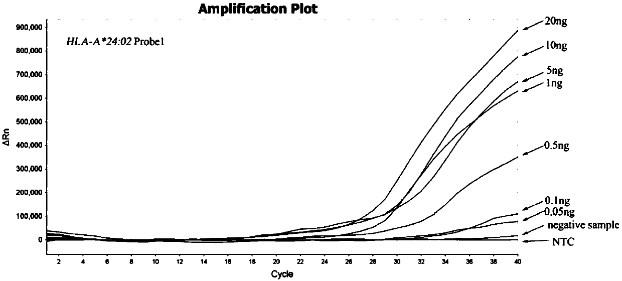 Specific primer probe combination for detecting HLA-A*24:02 allelic genes and kit and detection method