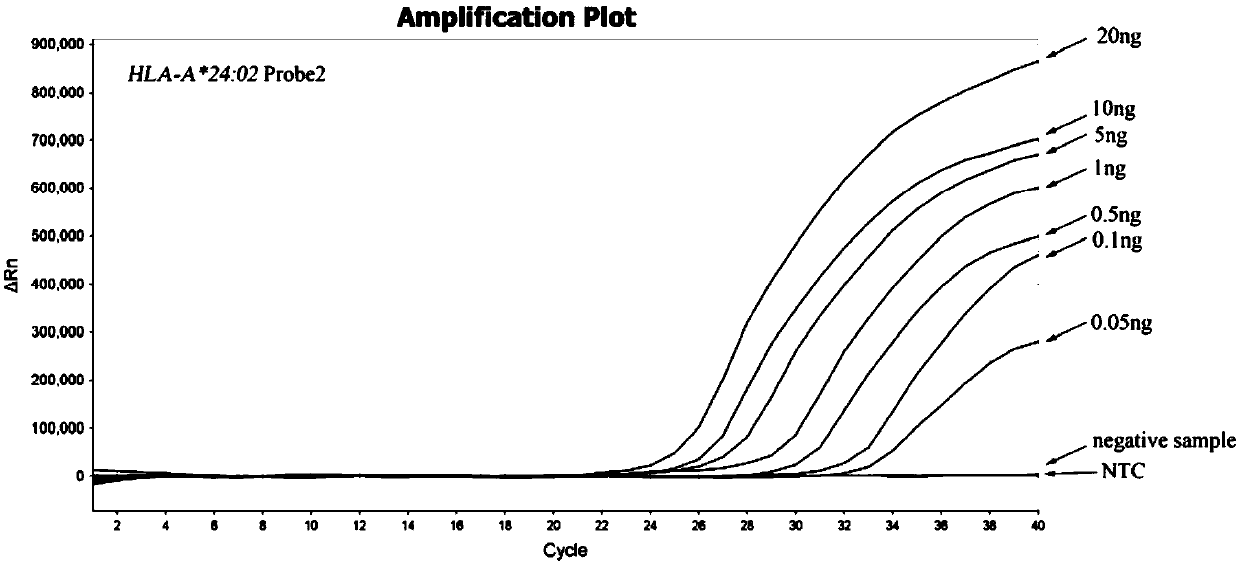 Specific primer probe combination for detecting HLA-A*24:02 allelic genes and kit and detection method