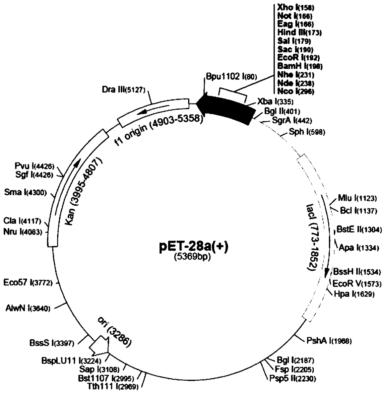 Application of Cap-TFlg protein in preparing PCV2 vaccine