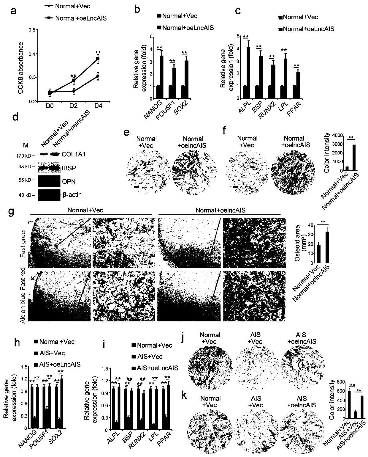 Biological agents promoting osteogenic differentiation of bone marrow mesenchymal stem cells