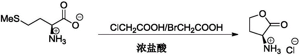 Method for synthesizing L-glufosinate-ammonium intermediate (S)-3-amino-gamma-butyrolactone hydrochloride, and application of method