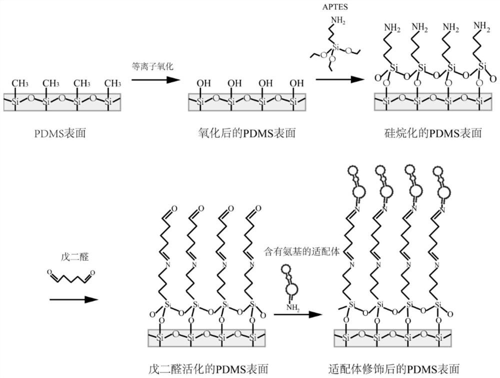 Microfluidic chip and its preparation method, microfluidic device and detection method of pathogenic bacteria