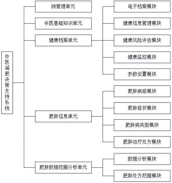 Traditional Chinese medicine fat-reducing decision support system and method