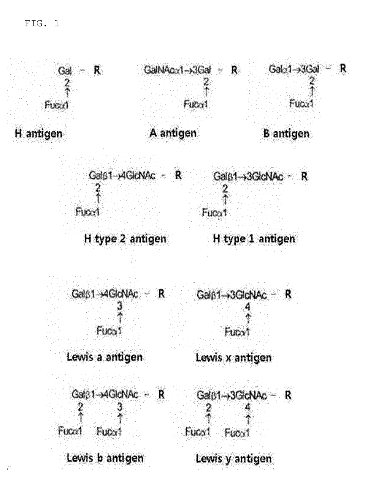 Composition containing material for regulating expression of abh antigens