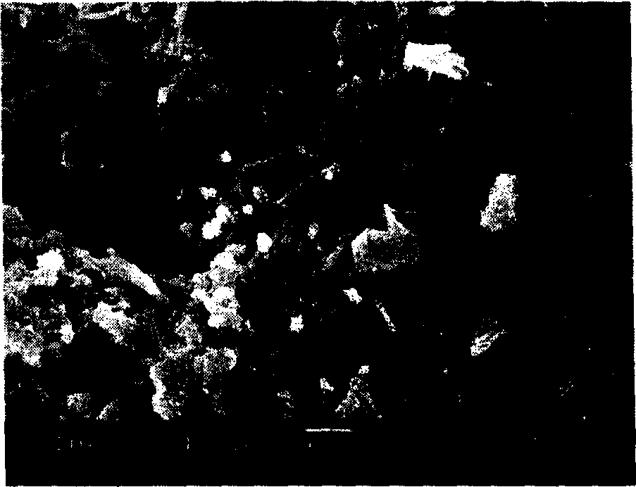 In-situ fibril method of recovering waste thermoplastic plastics