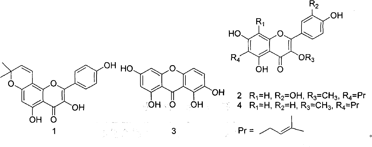 Application of flavonoids compounds to breast cancer resistance