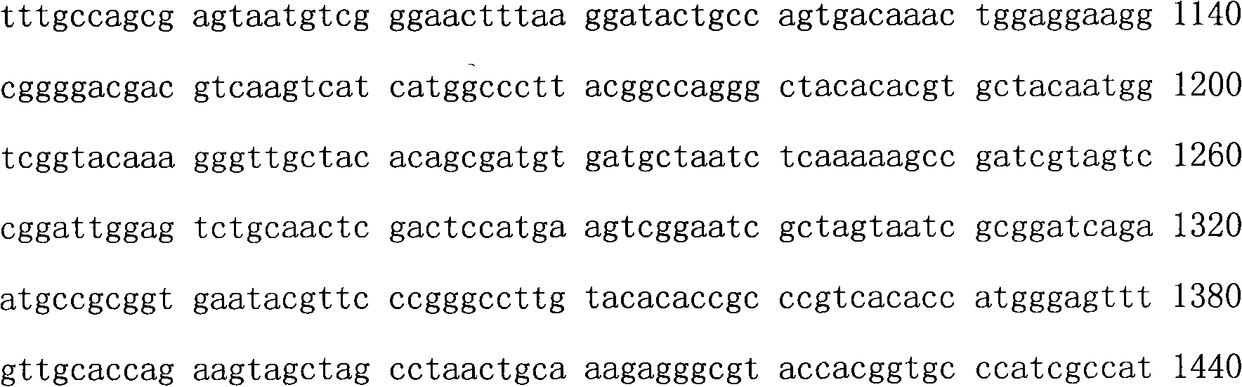 Acinetobacter calcoaceticus and application thereof in degrading decabromodiphenyl ether