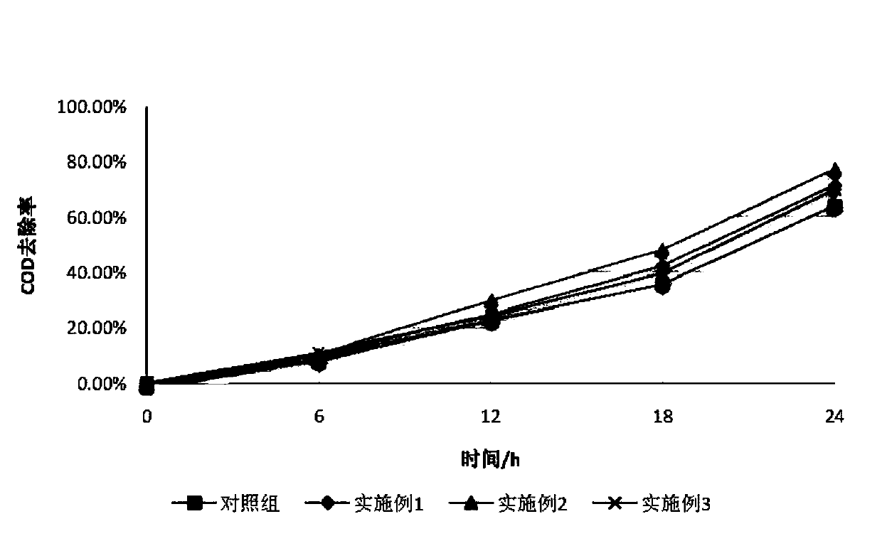 Microbial promoter