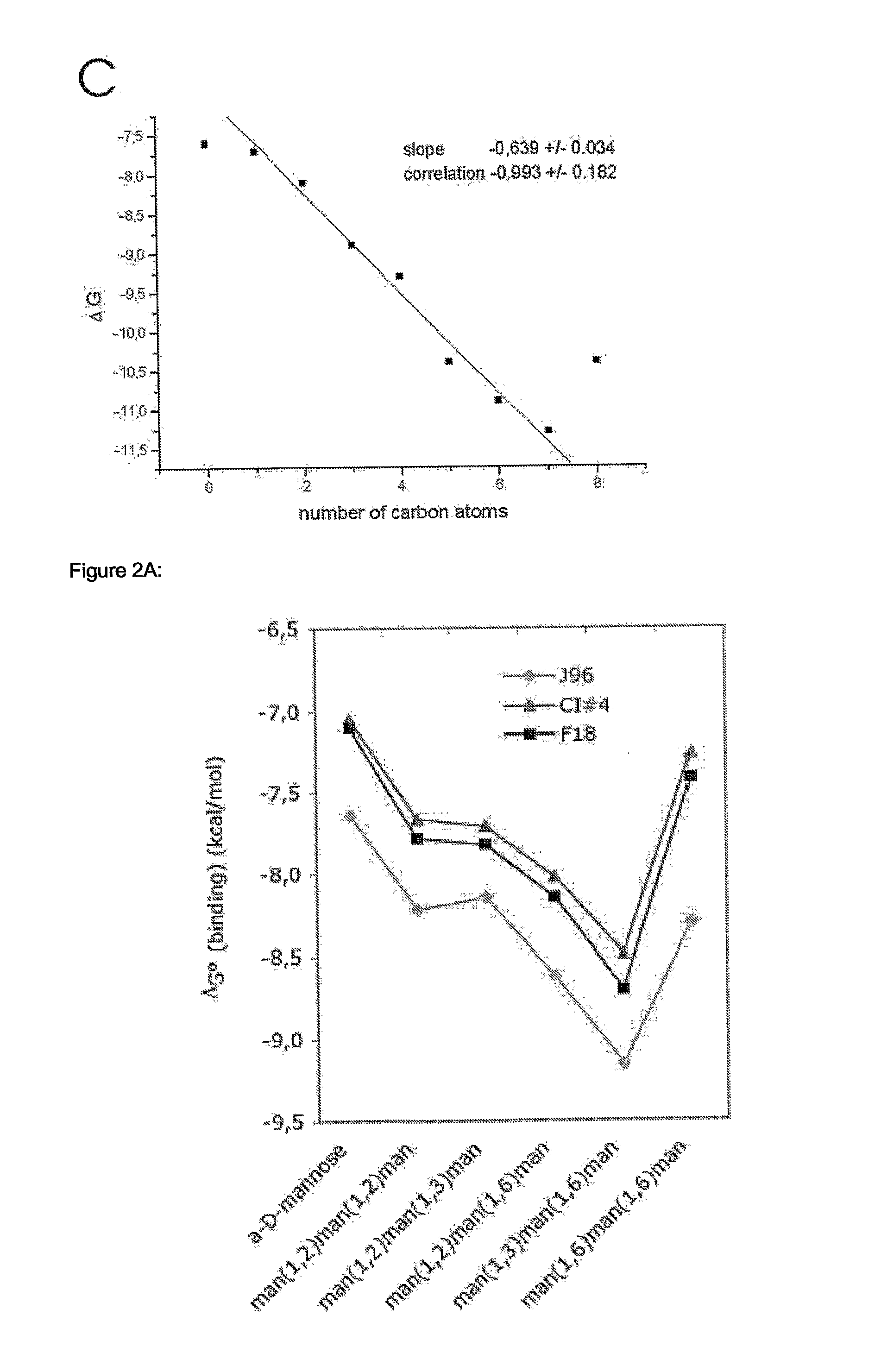 Anti-Adhesive Compounds to Prevent and Treat Bacterial Infections