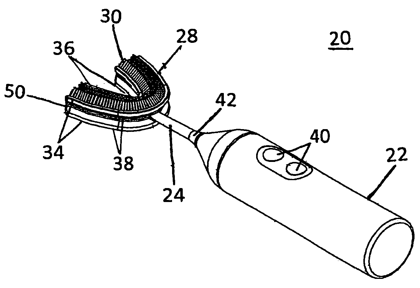 Dental hygiene device