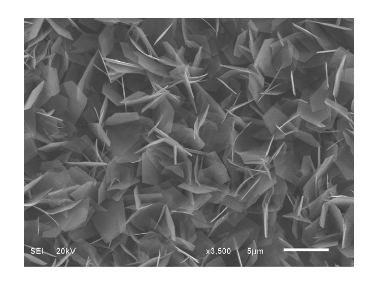 Vanadium dioxide thin film and preparation method thereof