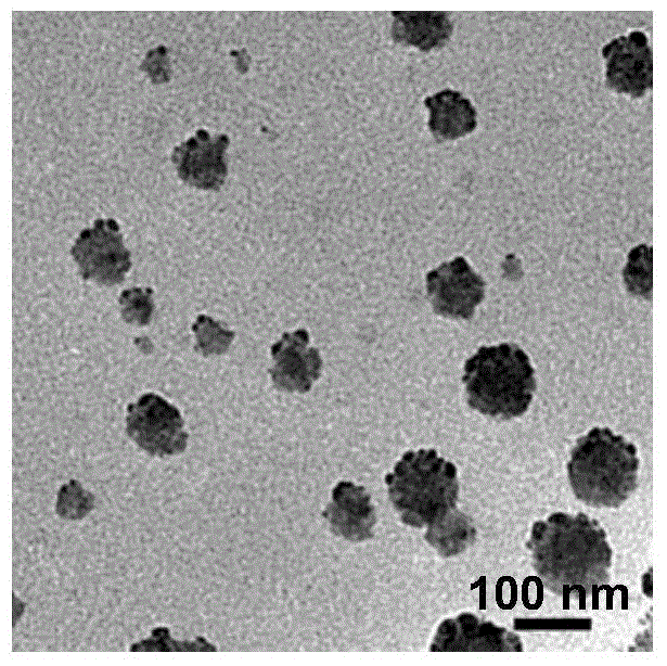 Nanocrystalline of hydrophobic drug, as well as preparation and application methods of nanocrystalline