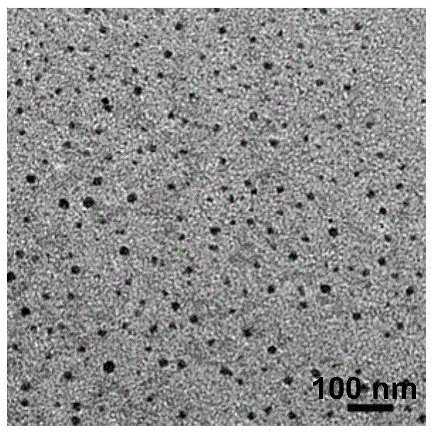 Nanocrystalline of hydrophobic drug, as well as preparation and application methods of nanocrystalline