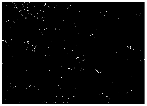 Preparation method of tungsten carbide-cobalt cemented carbide